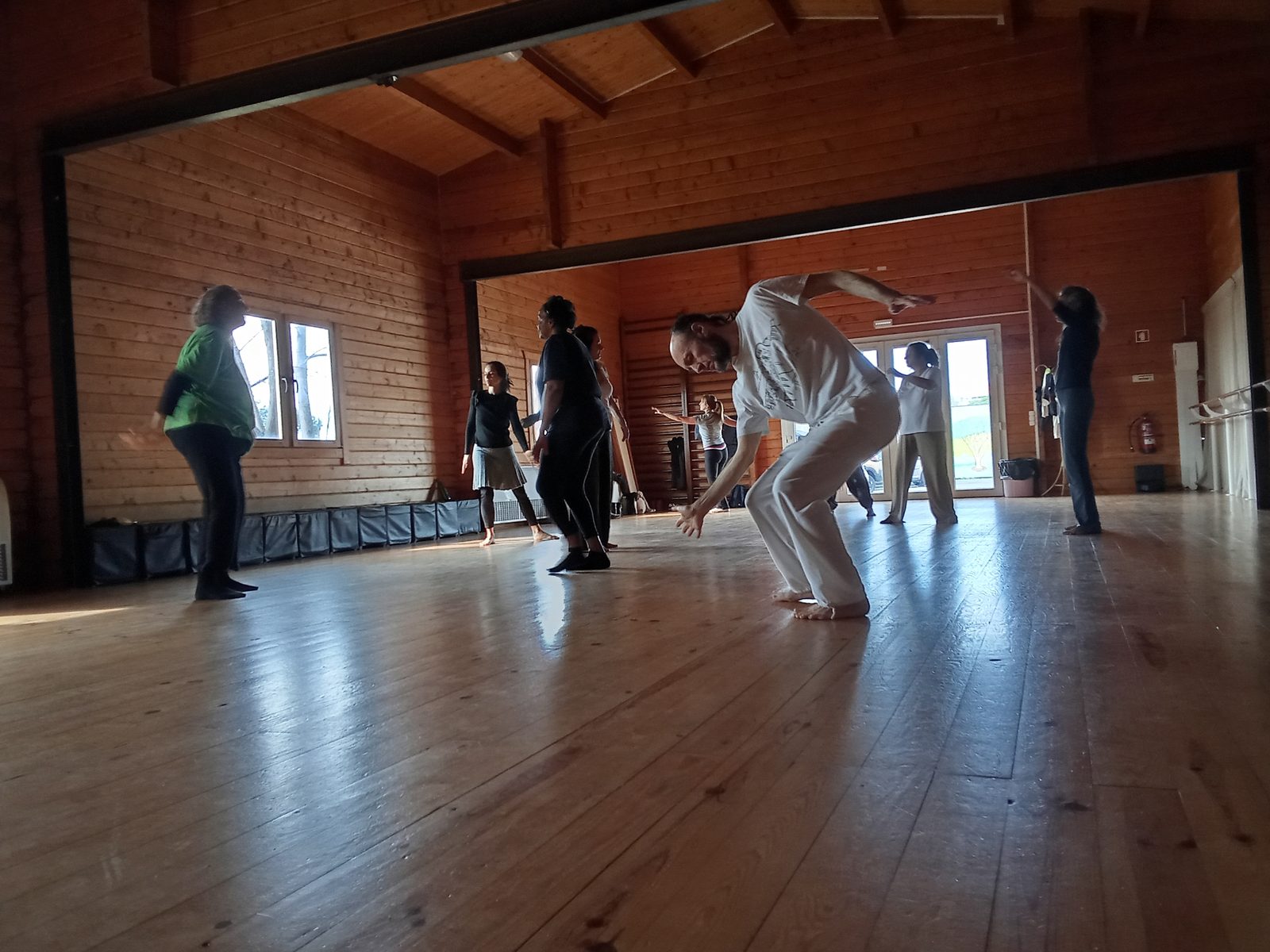 Grupo em movimento durante um workshop de Biodanza
