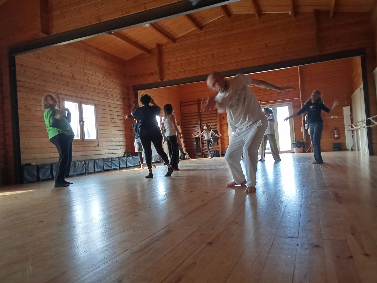 Grupo em vivência de Biodanza, em movimento pela sala