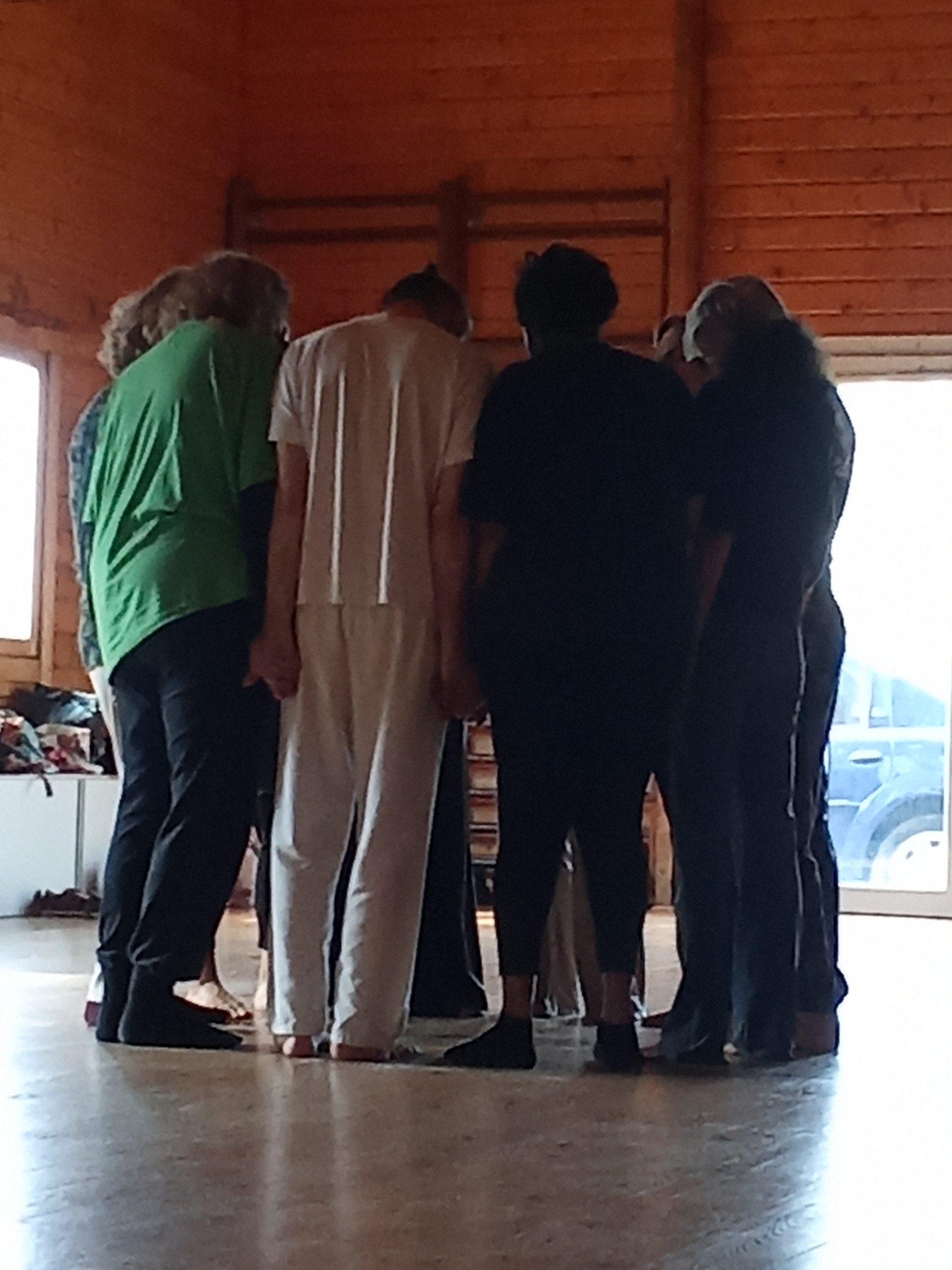 Grupo em círculo, de mãos dadas, no encerramento da sessão