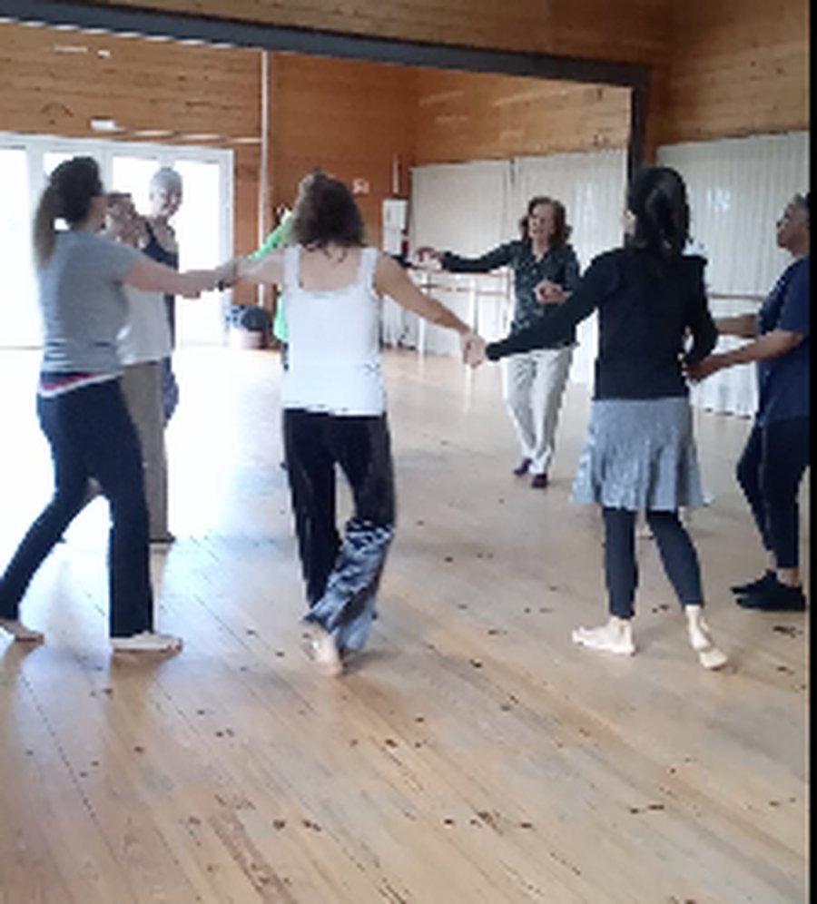 Grupo de mãos dadas em roda, durante uma vivência de Biodanza